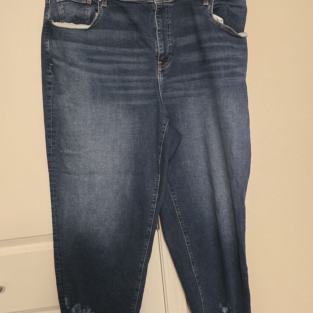 Lane Bryant Dark Blue Skinny Jeans